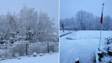 Zimowy krajobraz z drzewami pokrytymi śniegiem i otwartą przestrzenią.