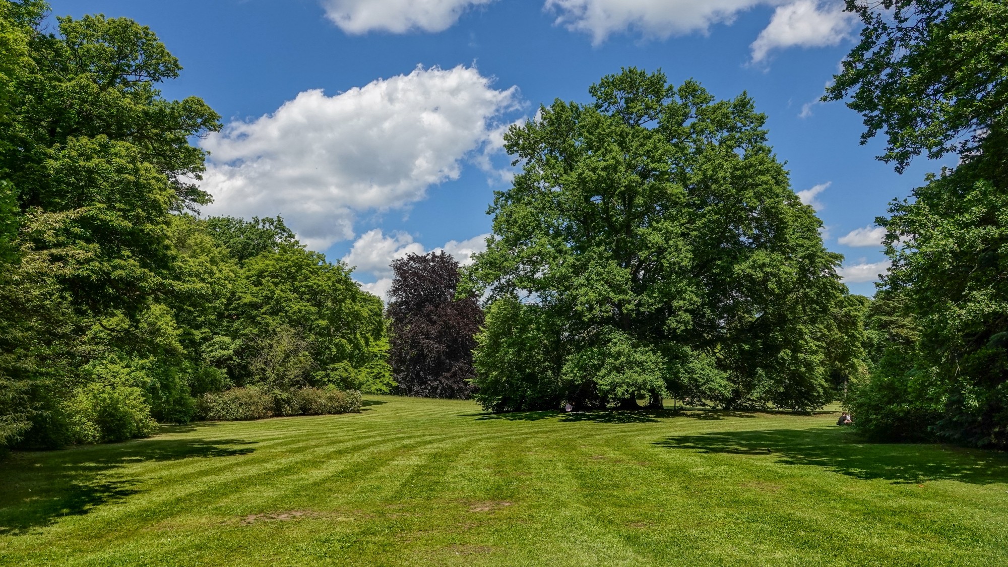 Uroki zielonej pory roku - zdjęcie 27