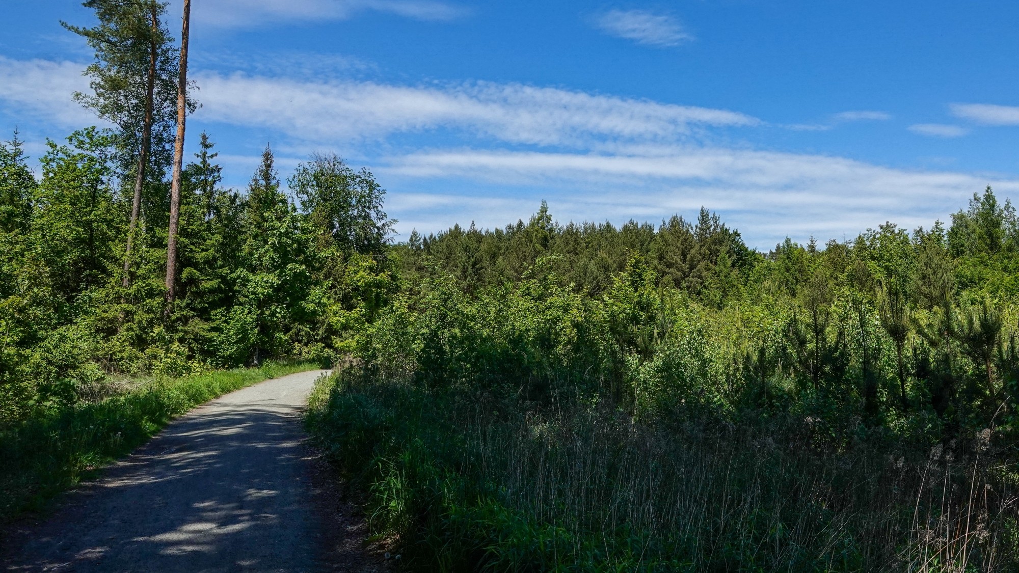 Całe piękno późnej wiosny - zdjęcie 9