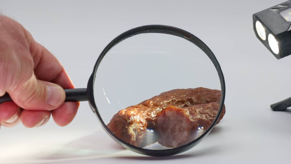 Dłoń trzymająca lupę nad kawałkiem surowego mięsa, badanie pod mikroskopem.