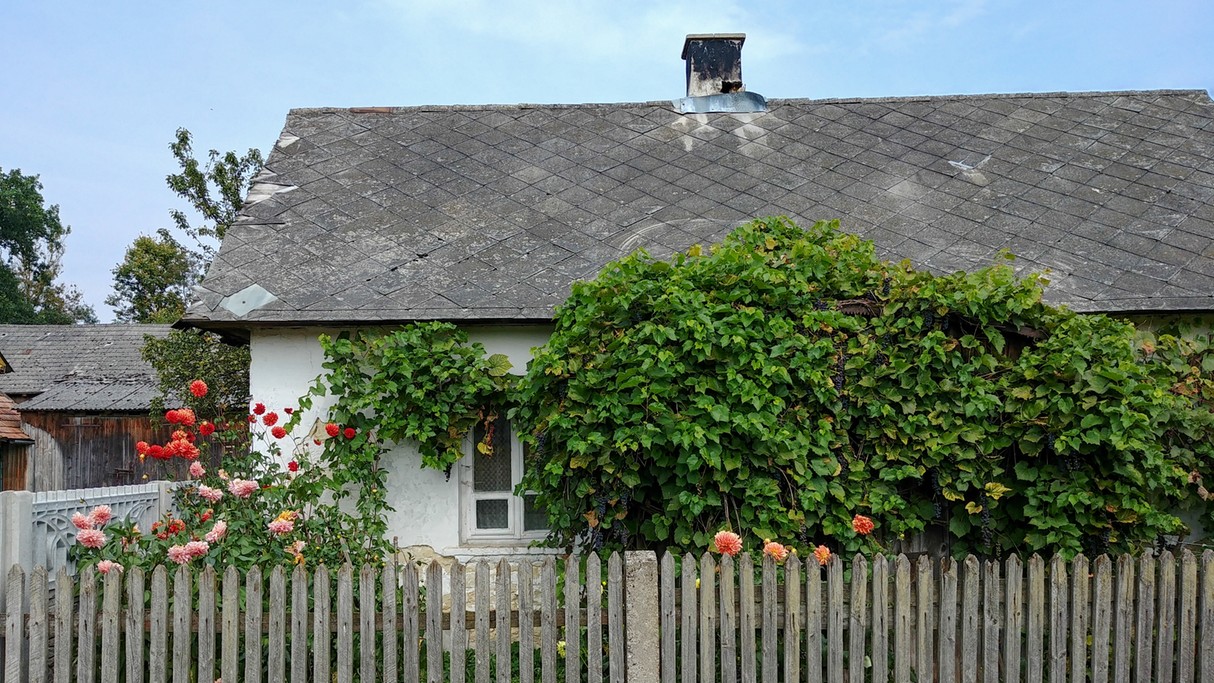 Uroki końca lata - zdjęcie 31