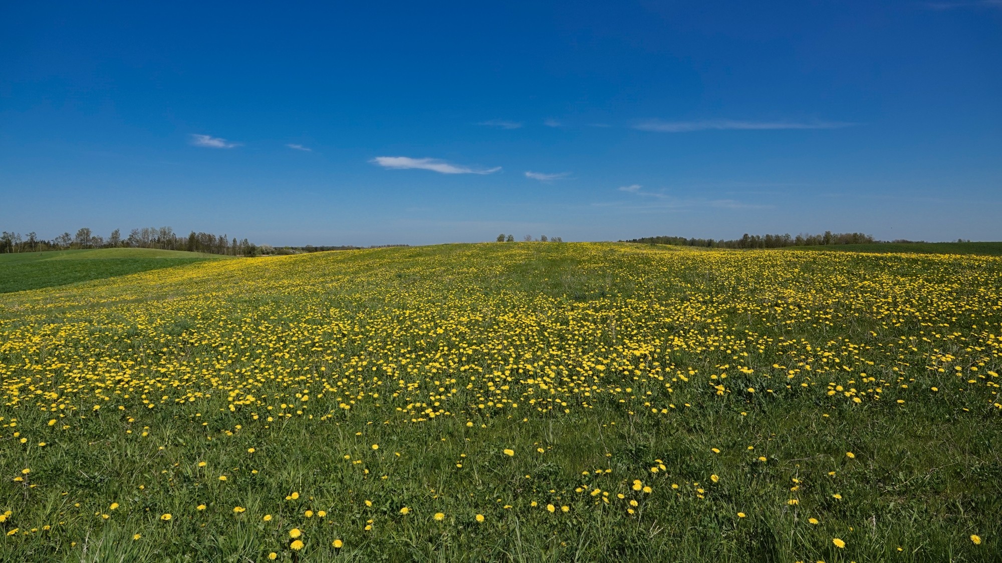W maju jak w raju - zdjęcie 14