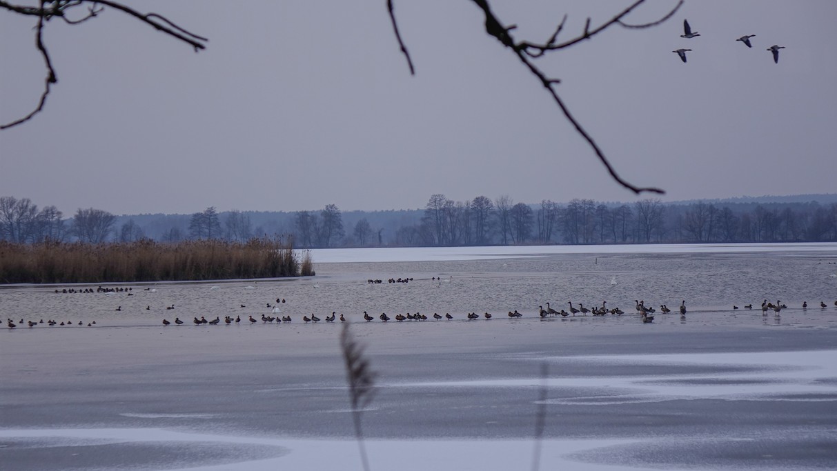 Styczeń w obiektywie - zdjęcie 46