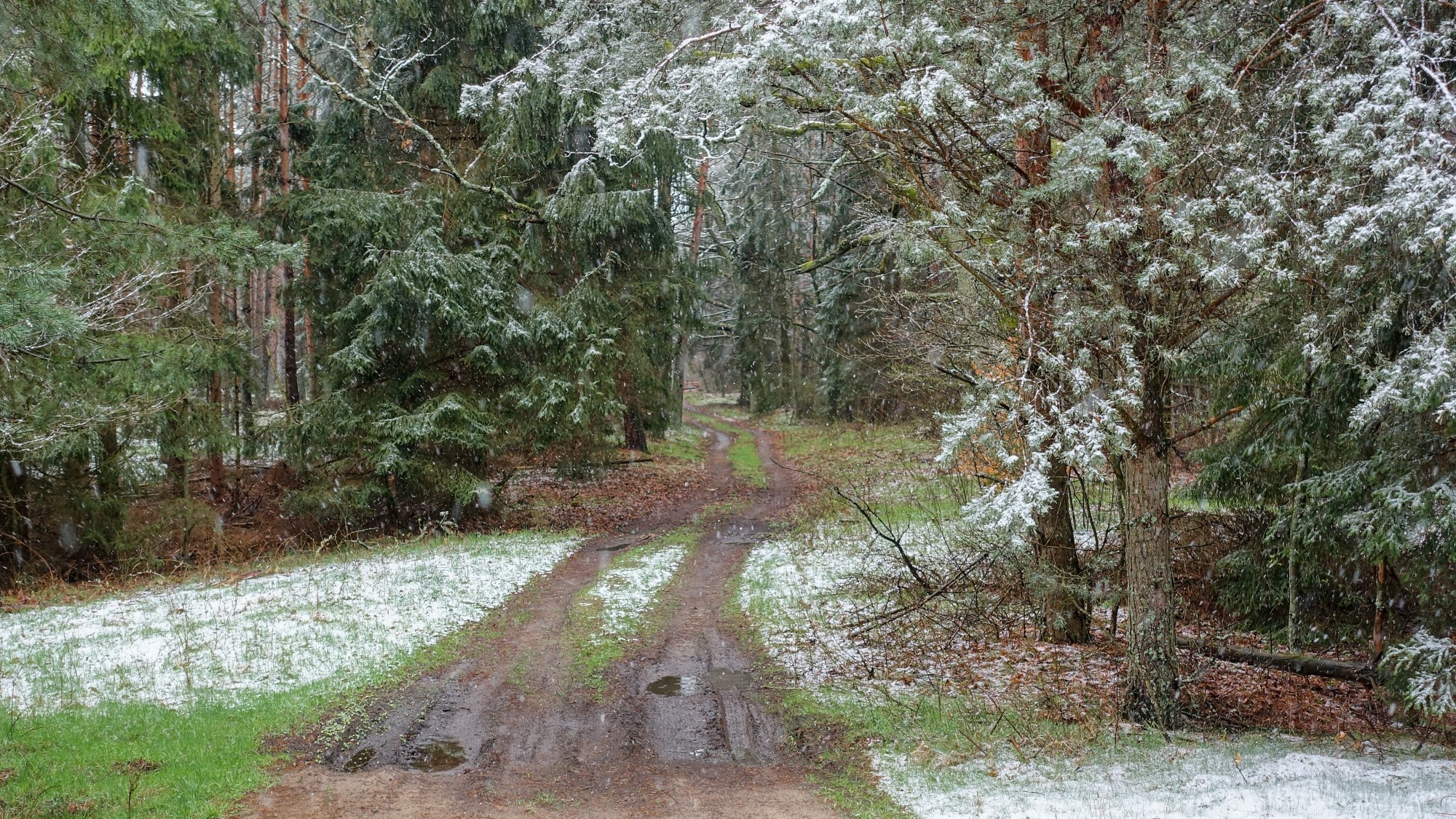 Zima w maju - zdjęcie 6