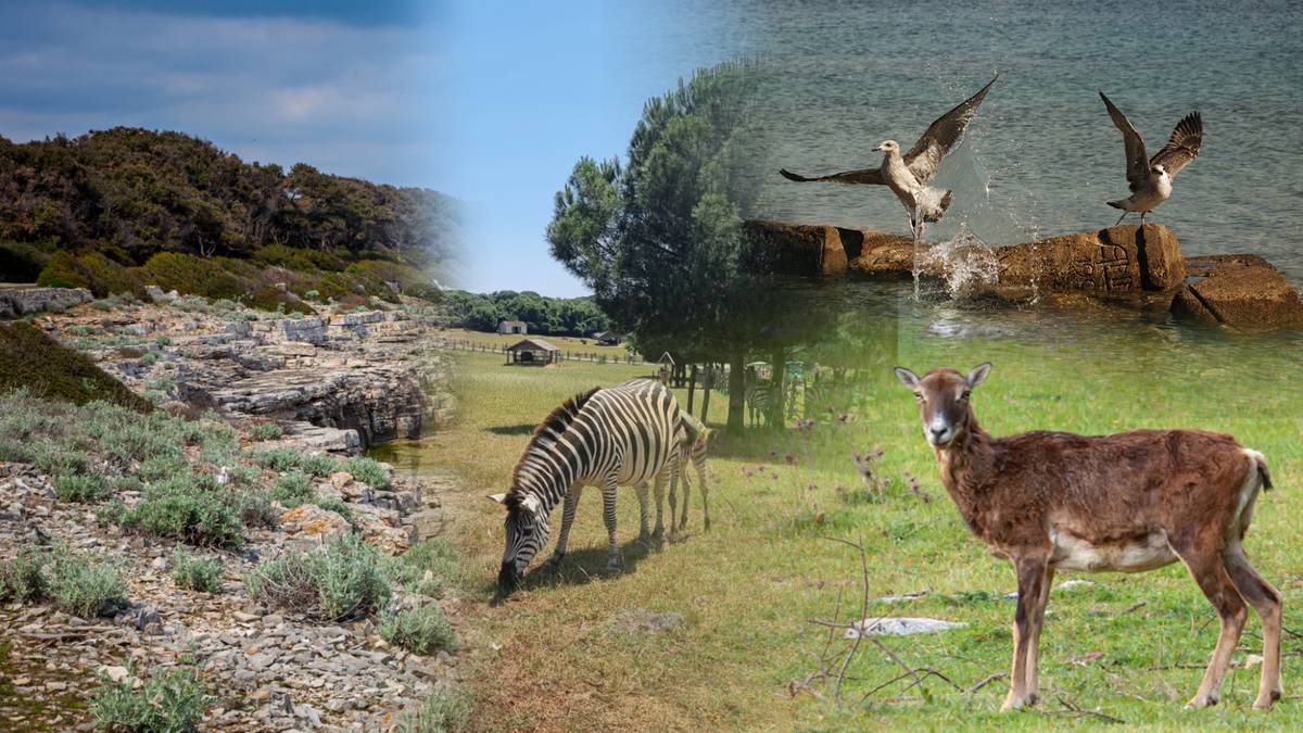 Luksusowa rezydencja dyktatora otwarta dla turystów. Niezwykłe atrakcje czekają