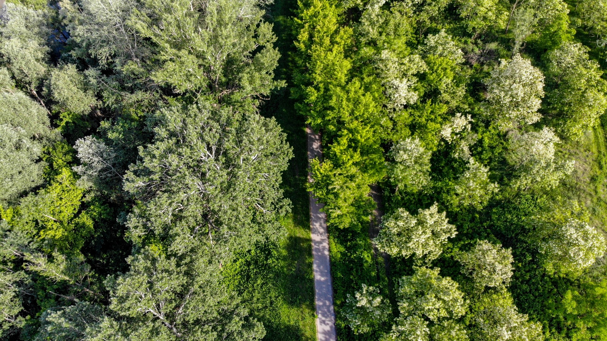 Niesamowita Polska z lotu ptaka - zdjęcie 20