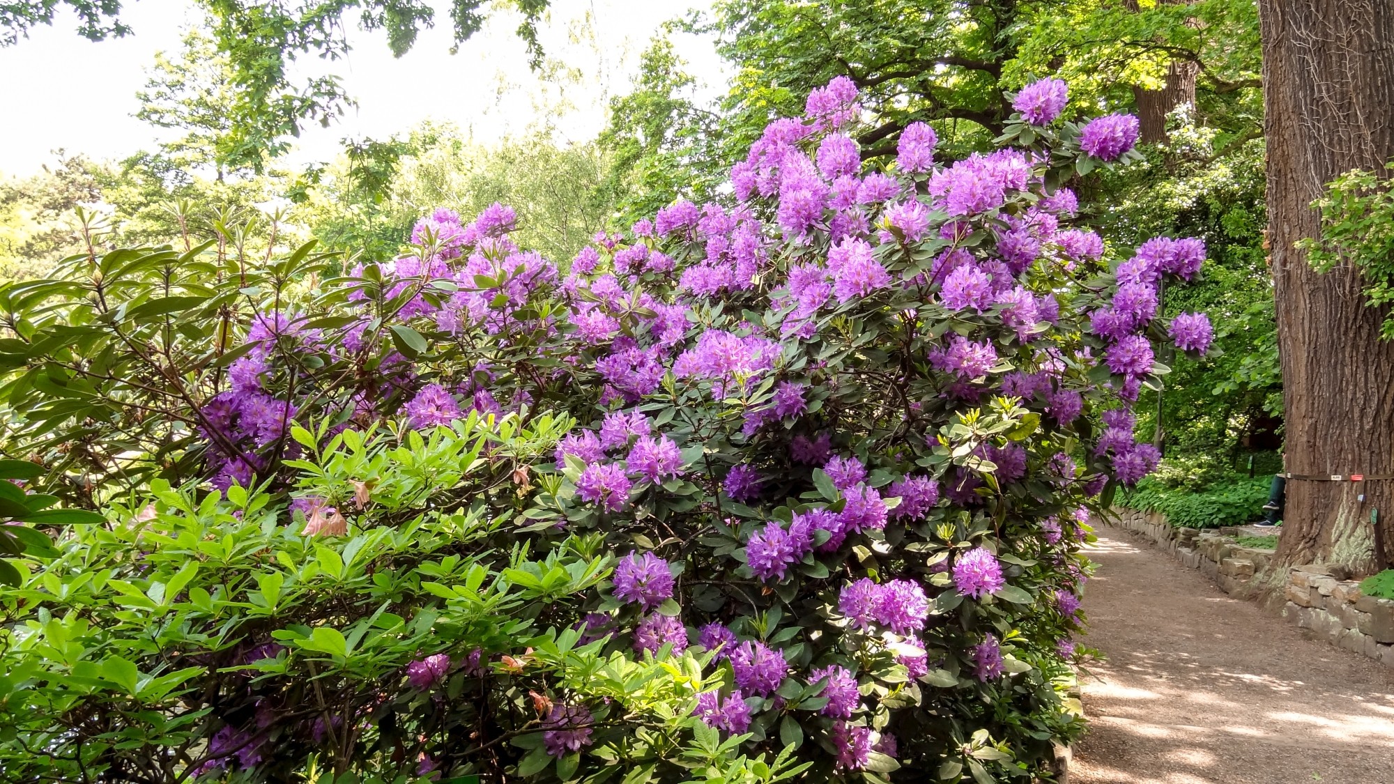 Wiosna radosna - zdjęcie 41