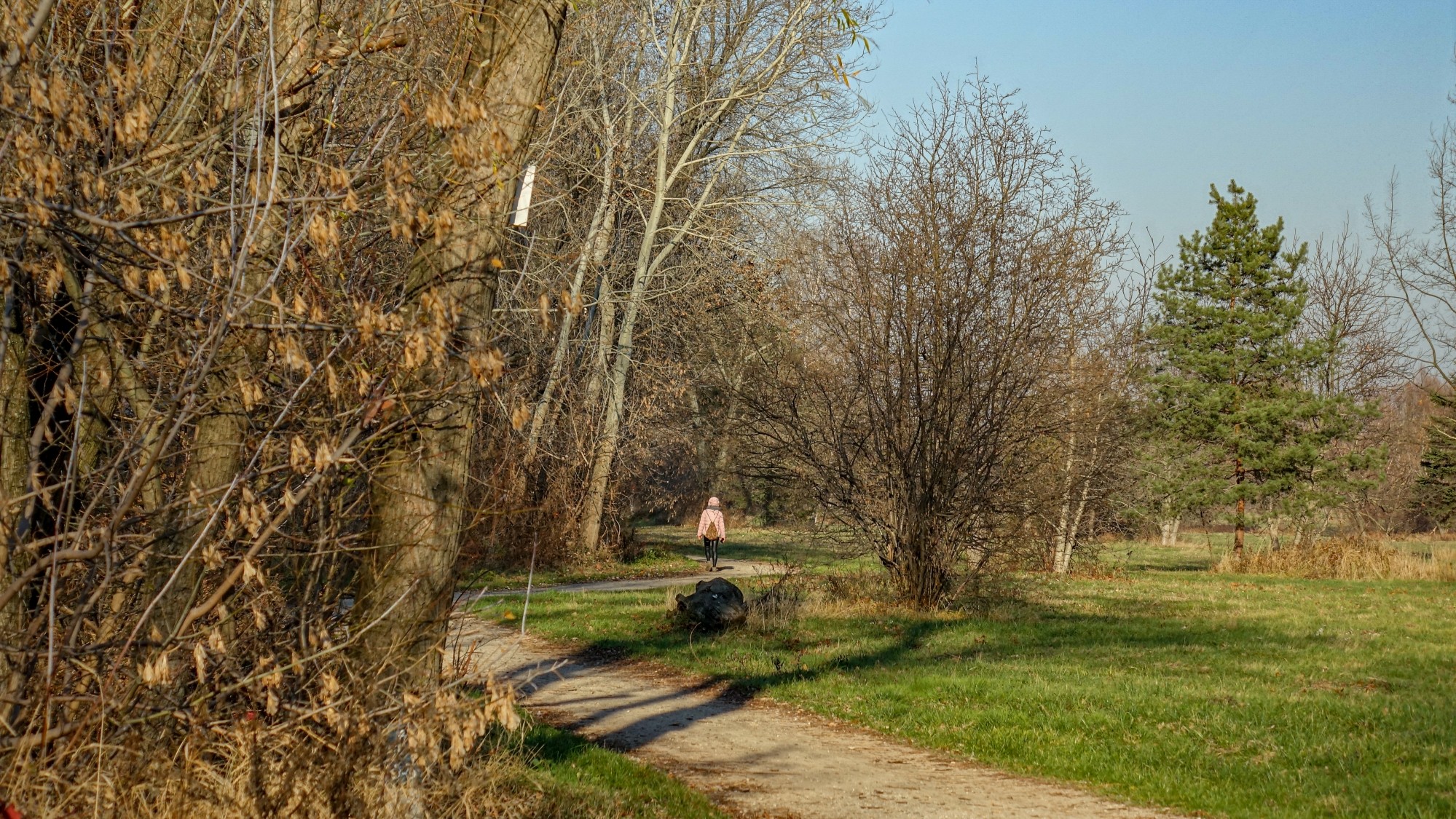 Listopad w obiektywie - zdjęcie 23