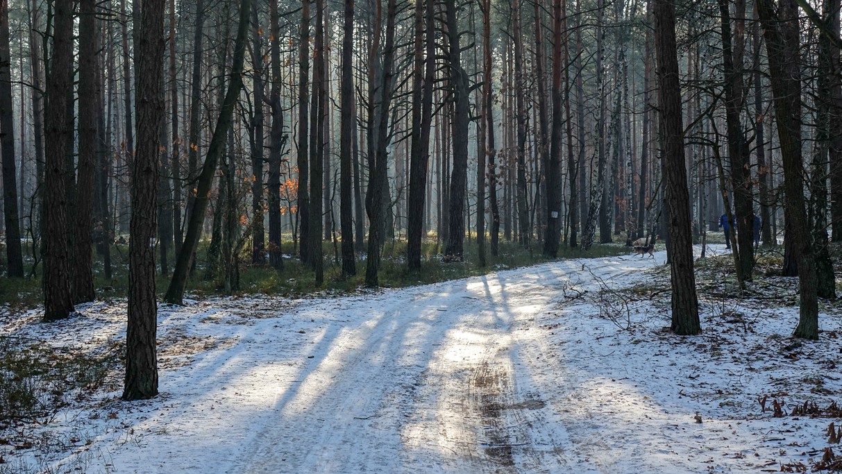 Styczeń w obiektywie - zdjęcie 44