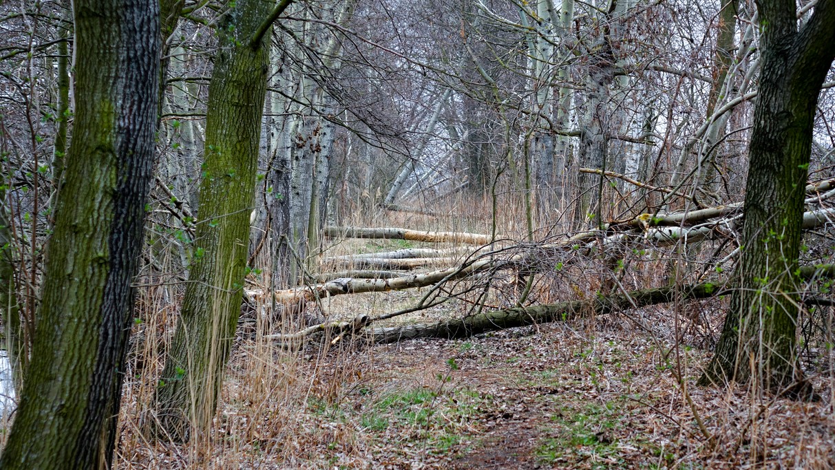 Marzec w obiektywie - zdjęcie 59