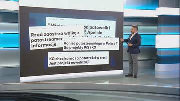 "Słyszałem pozytywne głosy z Pałacu". Minister o w