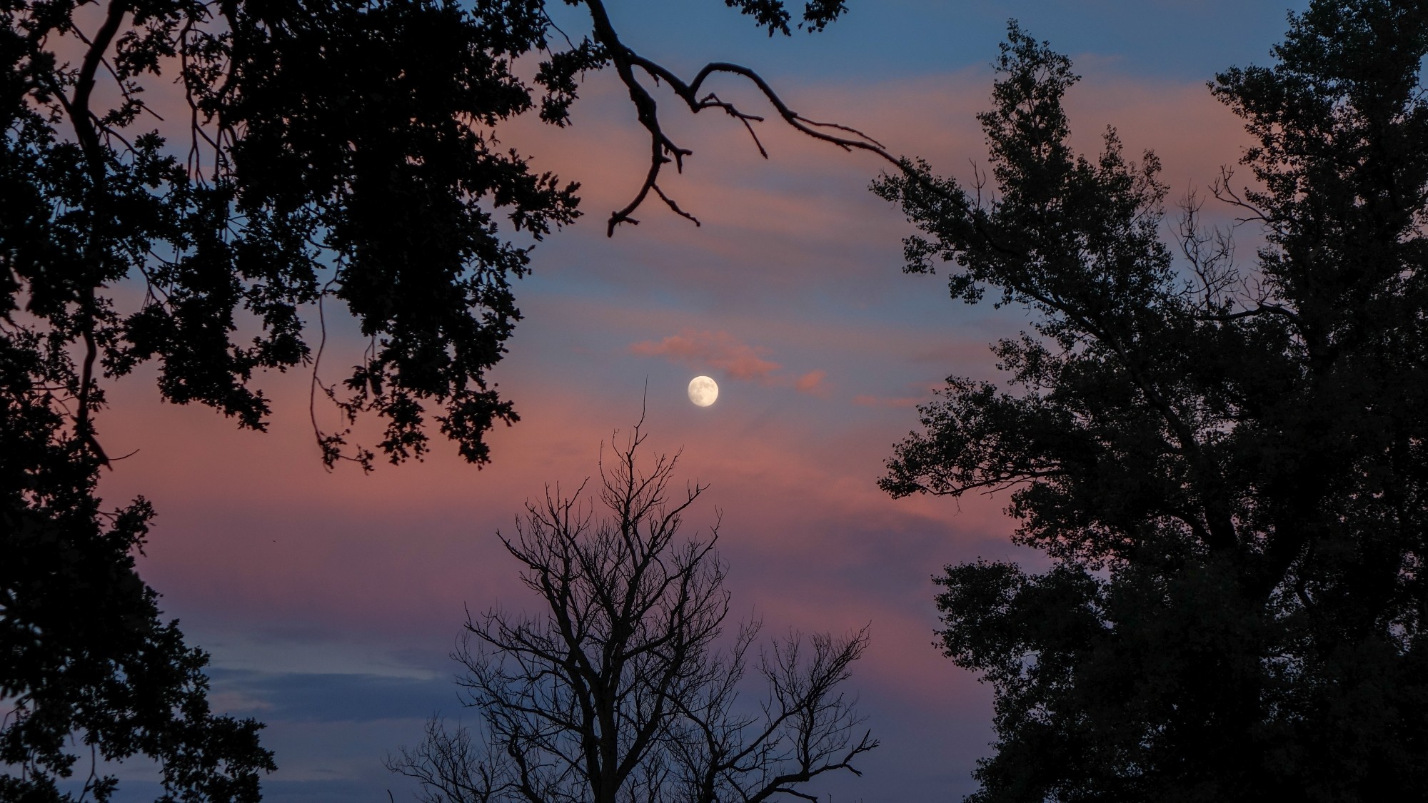 Odkryj piękno Polski w wakacje - zdjęcie 46