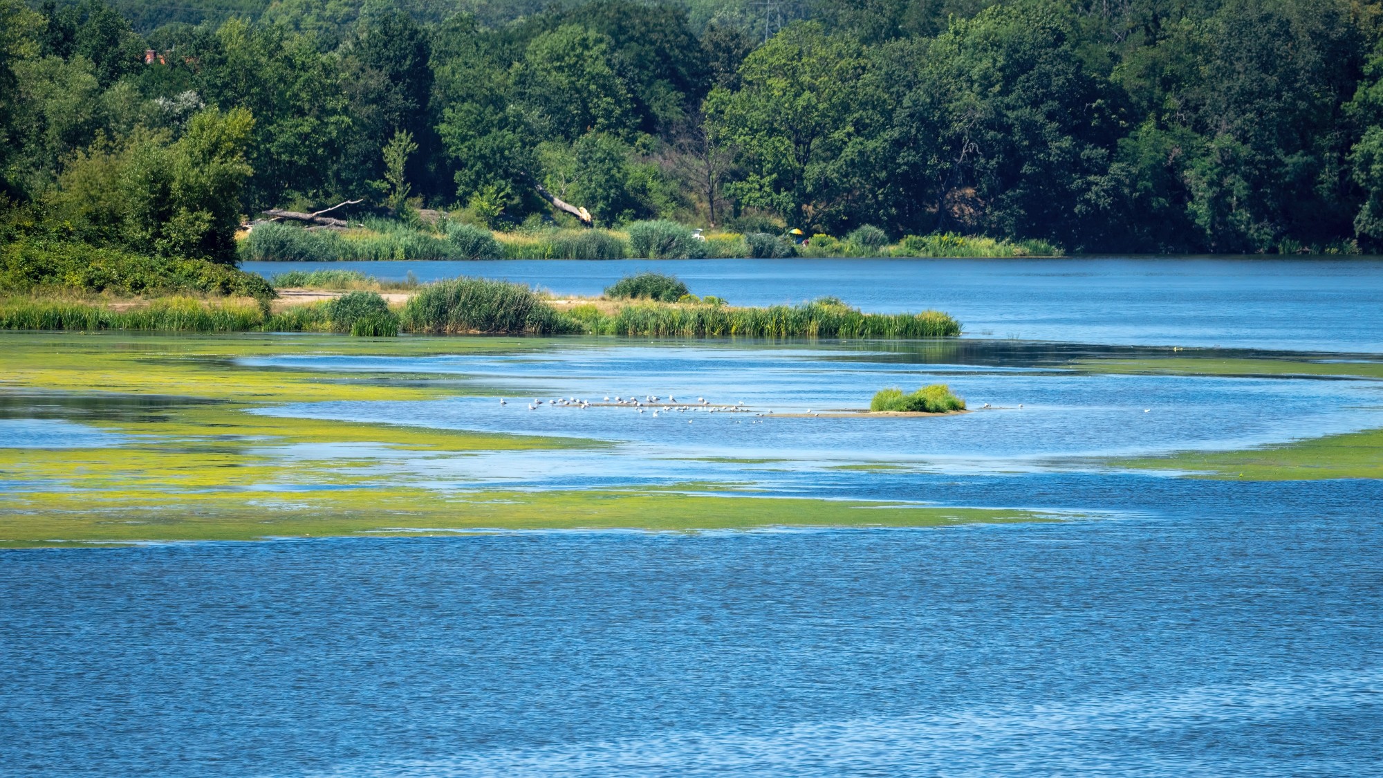 Kolory lata - zdjęcie 53
