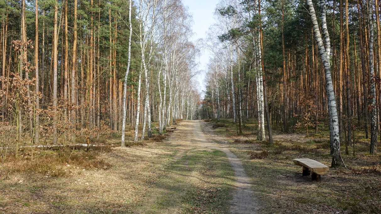 Marzec w obiektywie - zdjęcie 49