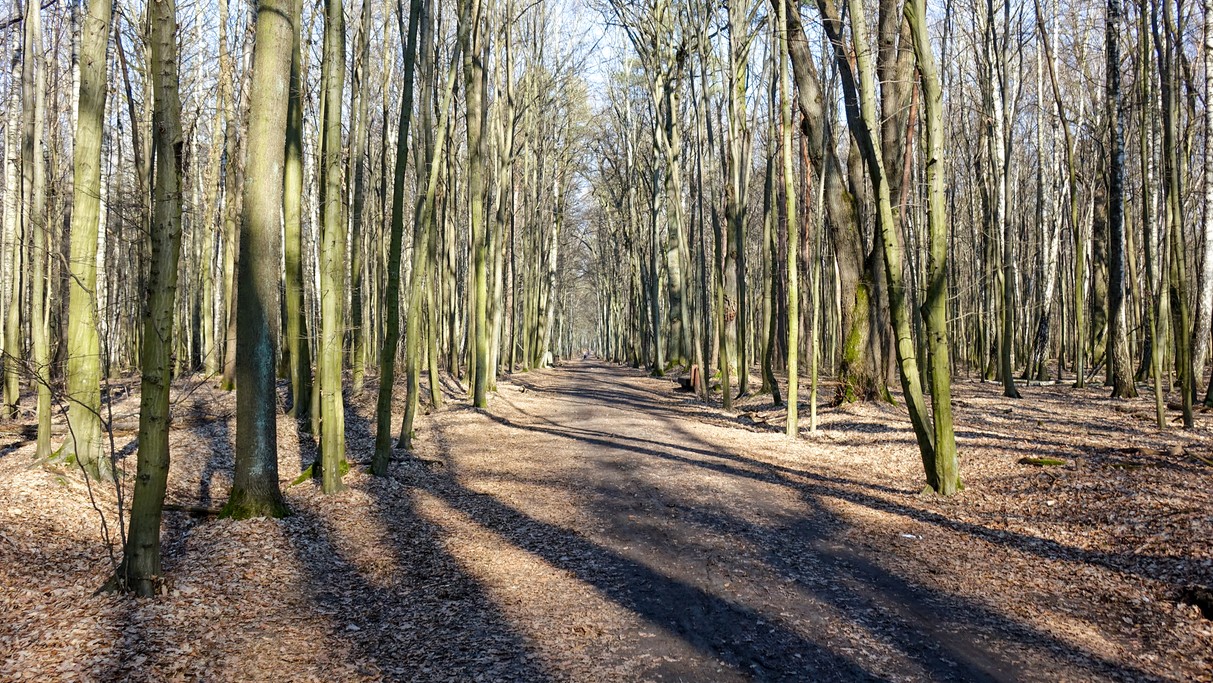 Luty w obiektywie - zdjęcie 33