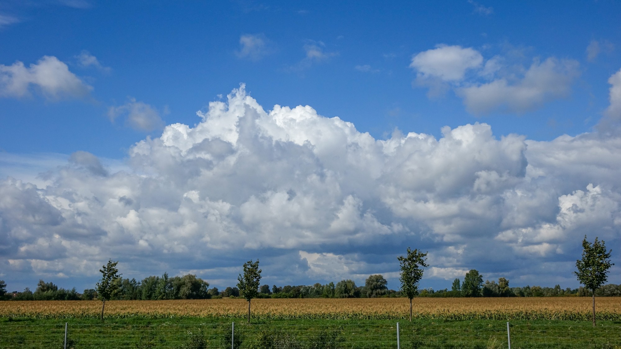 Późne lato na łonie natury - zdjęcie 17