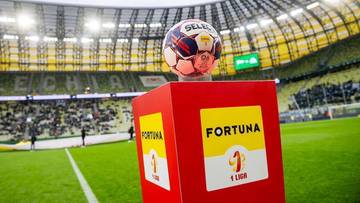 Fortuna 1 Liga: Wyniki i skróty meczów 21. kolejki