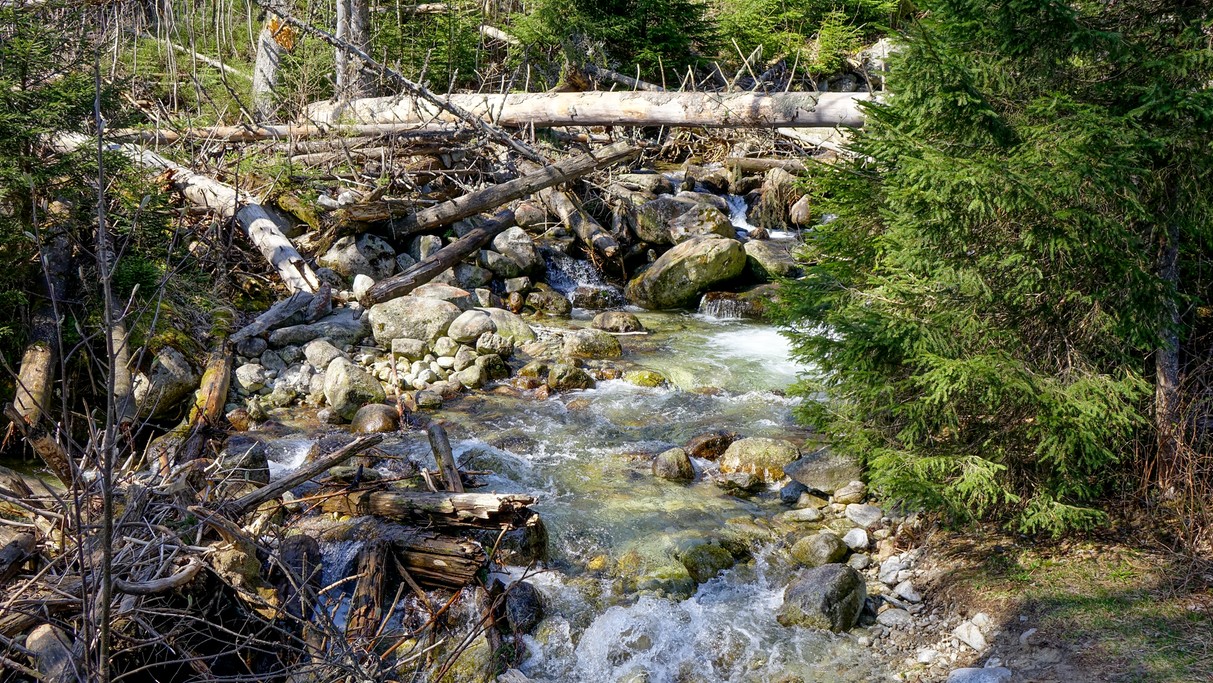Majówka w Tatrach - zdjęcie 35