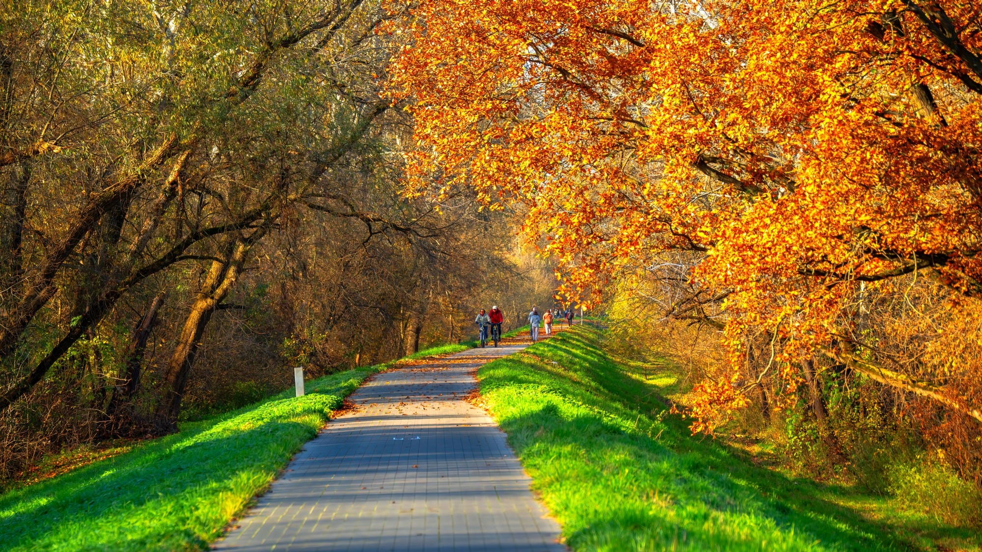 Piękny listopad - zdjęcie 14