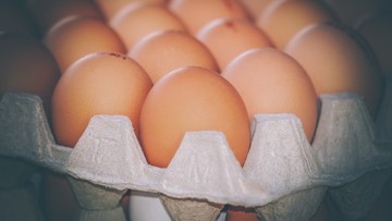 Jesienią jaja będą drogie. Maleje liczba kur