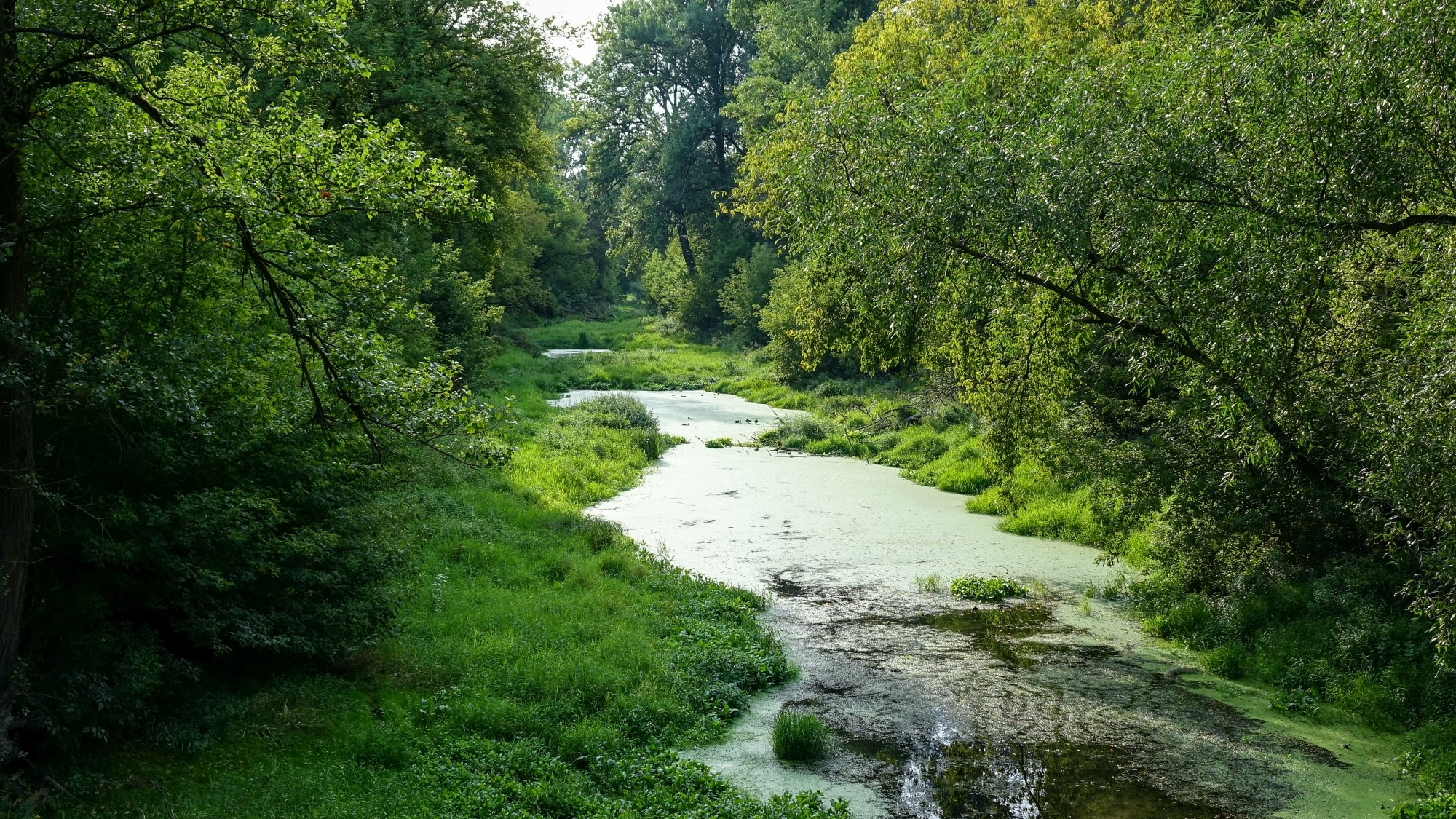 Sierpień w obiektywie - zdjęcie 33
