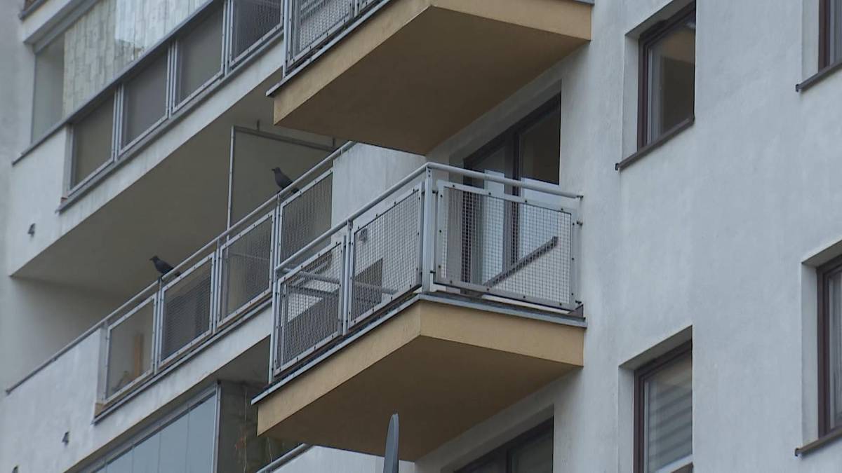 Fragment fasady bloku mieszkalnego z kilkoma balkonami, widoczne szklane balustrady i dwa ptaki na jednym z balkon&oacute;w.