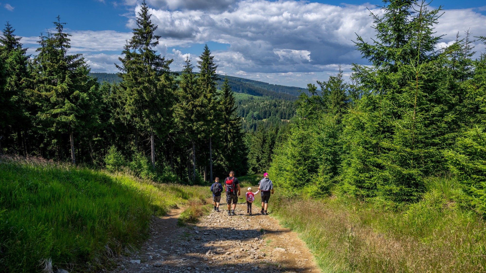 Kolory lata - zdjęcie 13