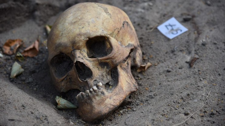 Ludzkie szczątki w gdańskim Nowym Porcie. Odkopano 14 szkieletów