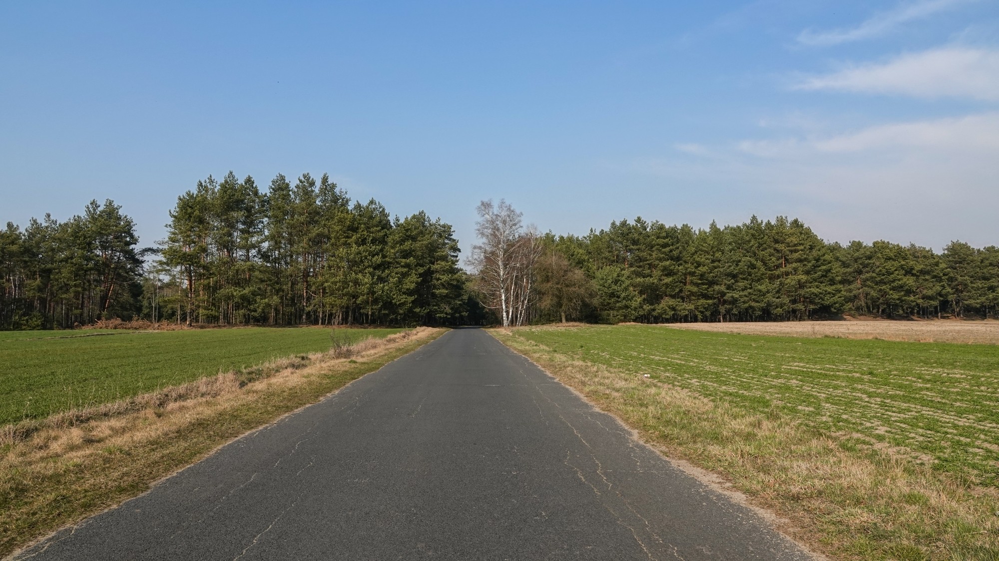 Marzec w obiektywie - zdjęcie 55