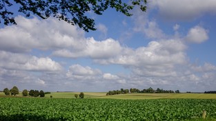 19.07.2020 05:00 Wspomnienia fantastycznych krajobrazów polskiej przyrody z wakacji minionych lat [ZDJĘCIA]