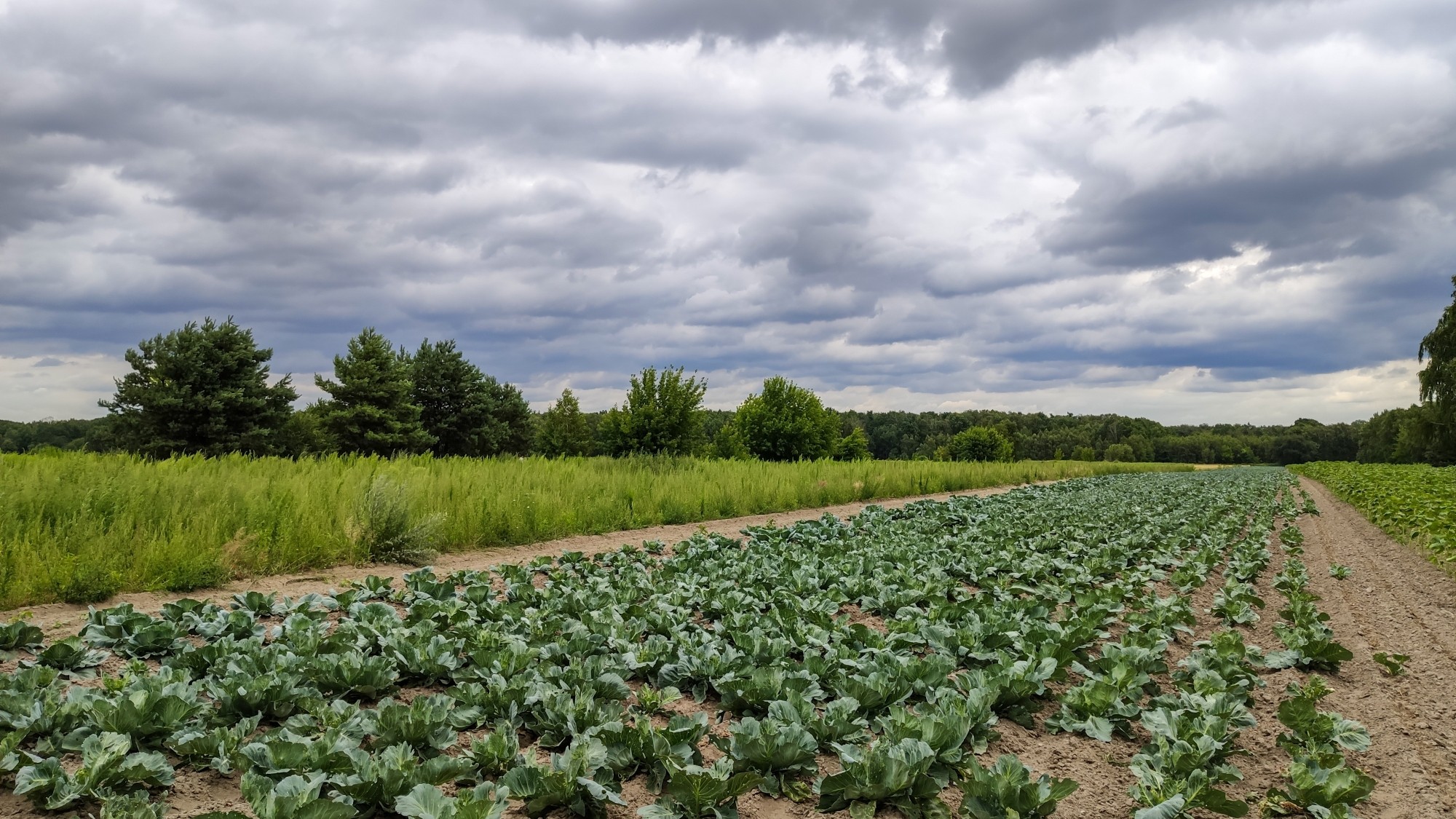 Lipiec w obiektywie - zdjęcie 36