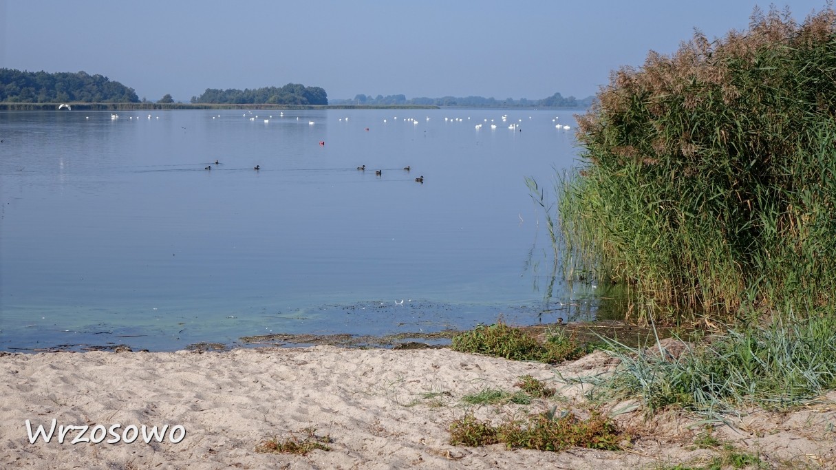 Bałtyckie kurorty - zdjęcie 6