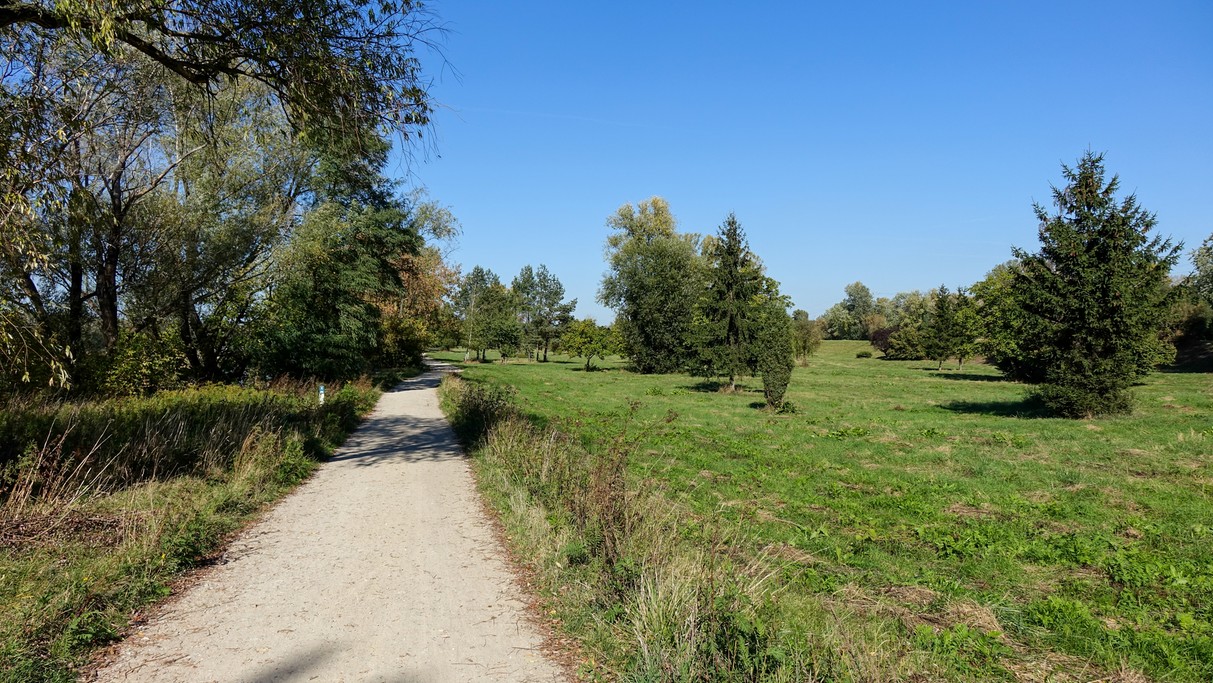 Uroki końca lata - zdjęcie 8