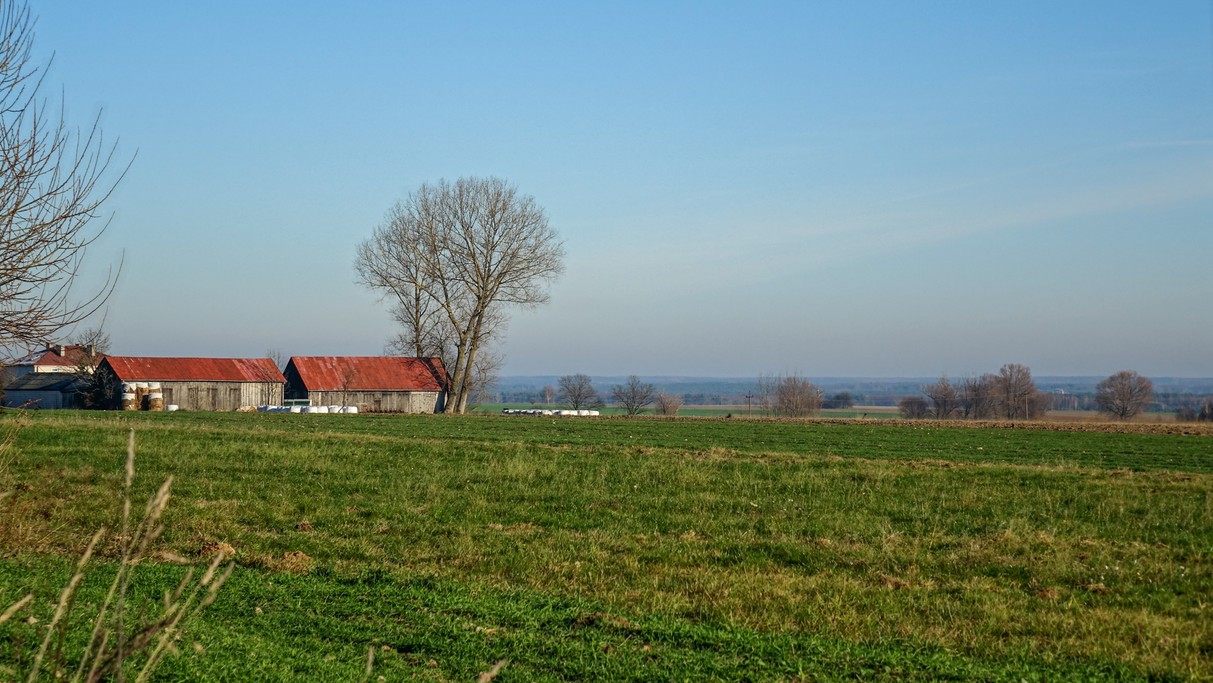 Listopad w obiektywie - zdjęcie 6