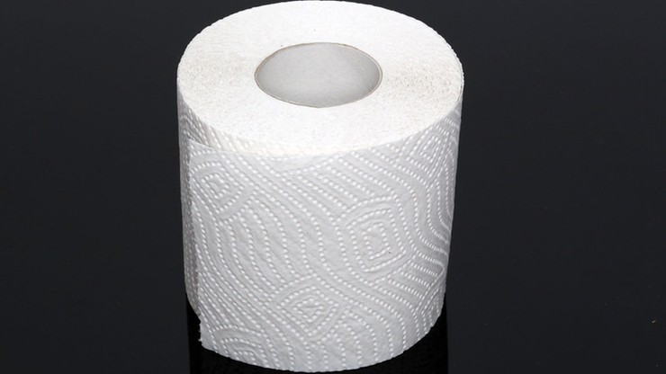 Sztuka z papierem toaletowym w roli głównej. Dzieło zostało sprzedane za 5050 euro