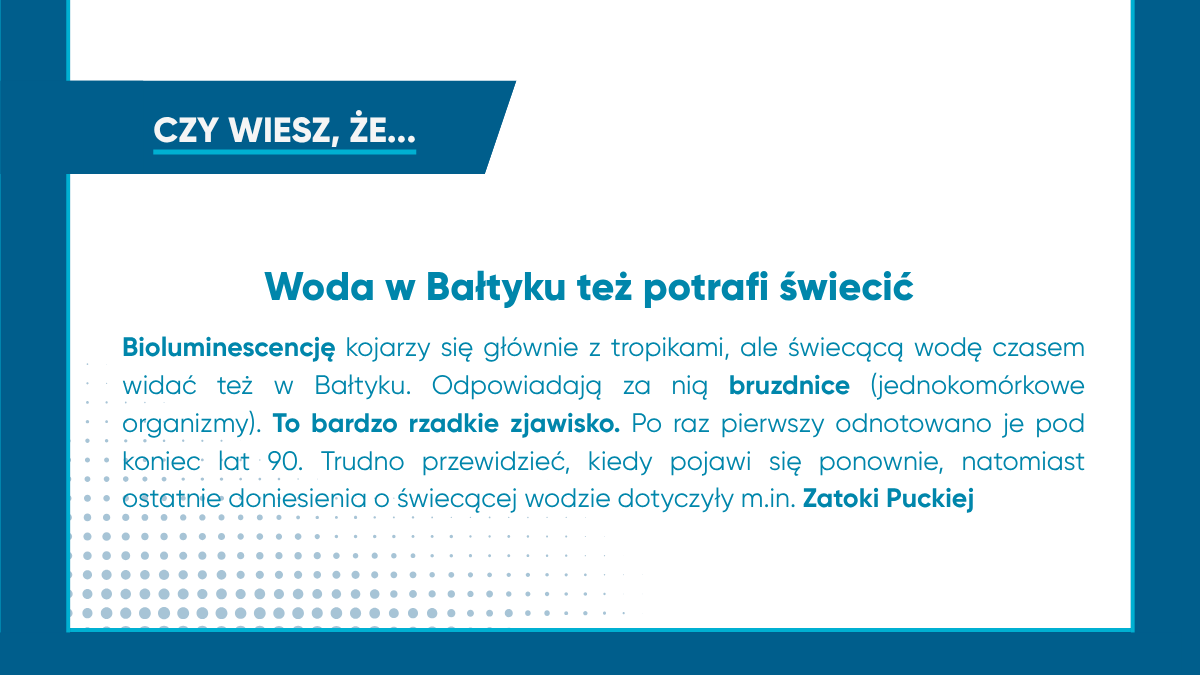 Bioluminescencja to fascynujące zjawisko emitowania światła przez organizmy żywe.