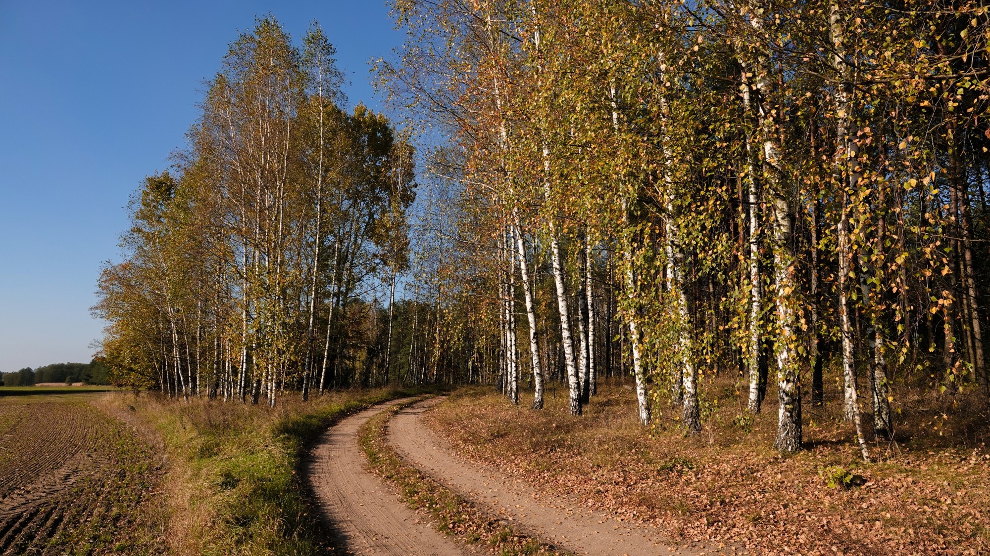 Jesienne klimaty - zdjęcie 29