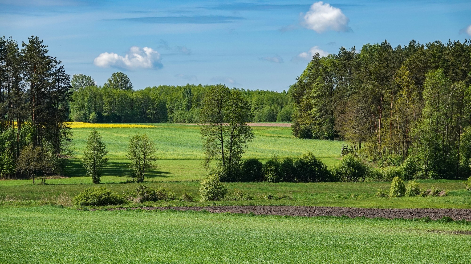 Kochamy Polskę - zdjęcie 10