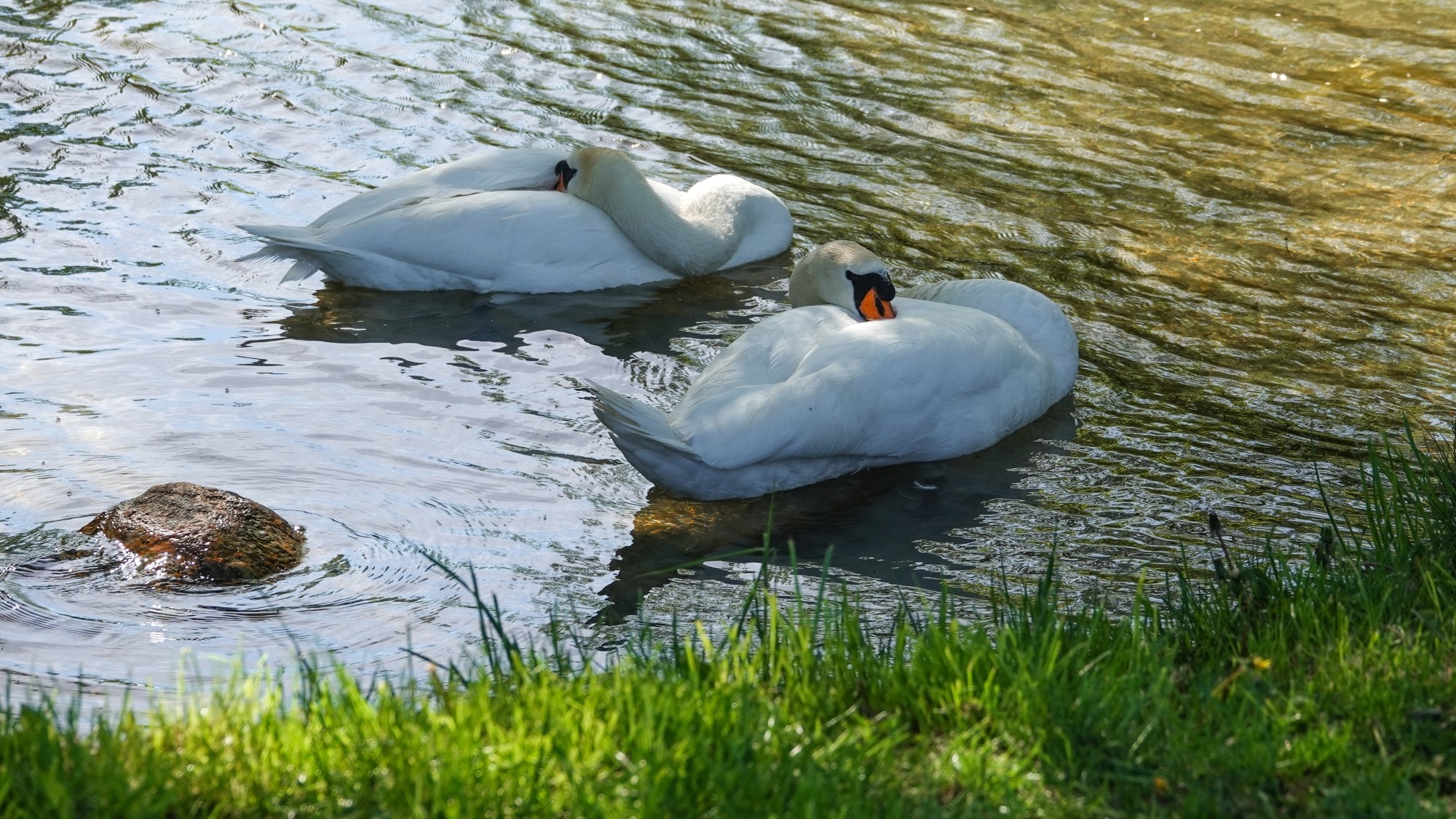 100 najpiękniejszych zdjęć 2021 roku - zdjęcie 80
