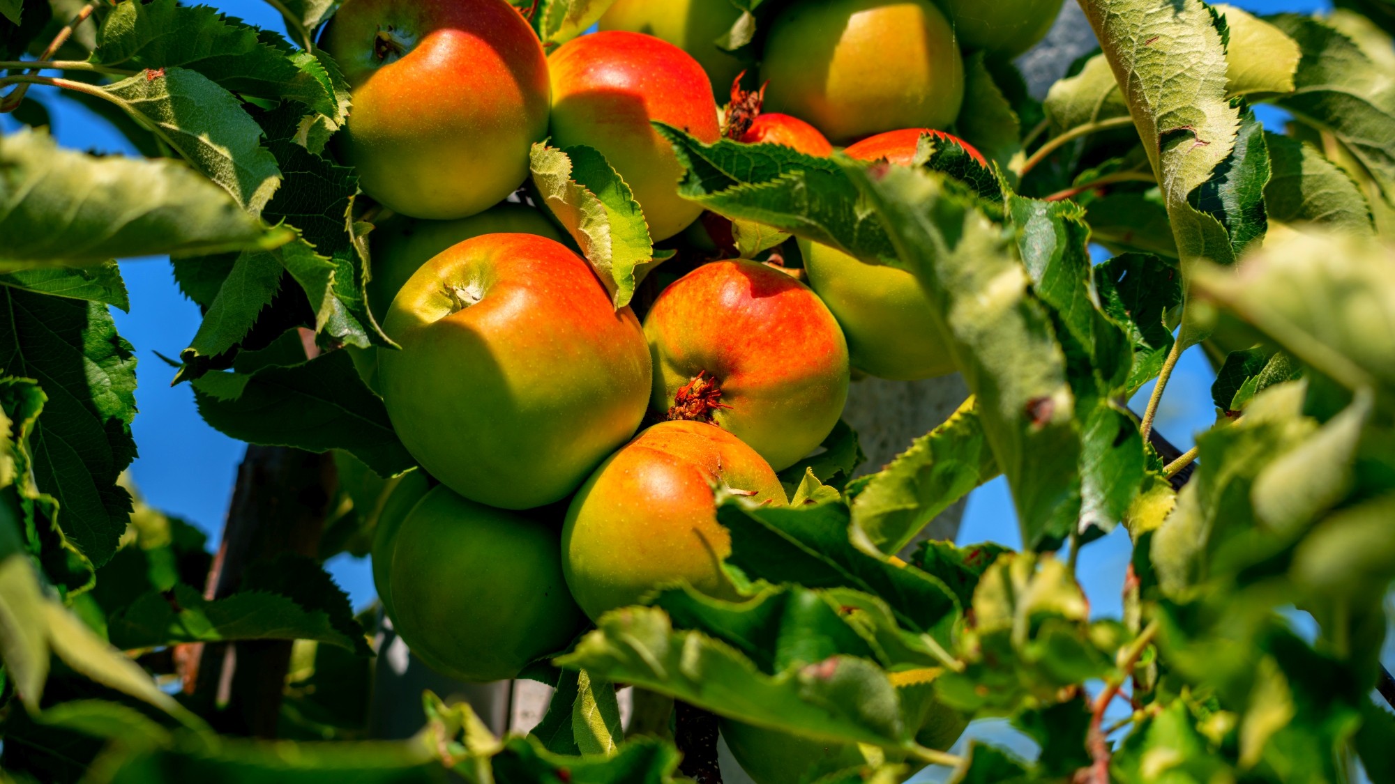 Wśród natury - zdjęcie 28