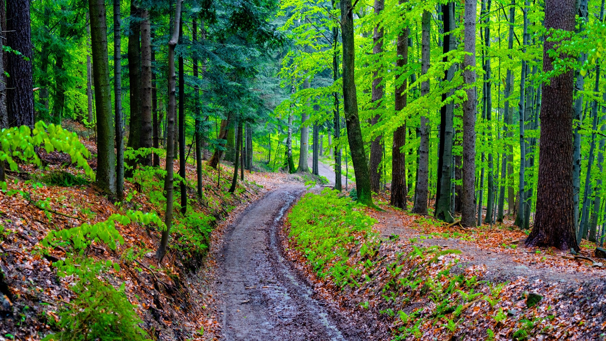 Zachwycający maj - zdjęcie 28