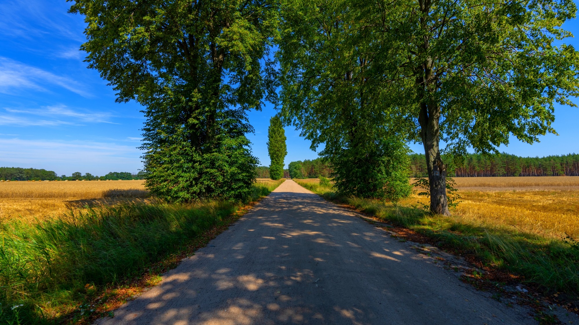 Wśród natury - zdjęcie 9