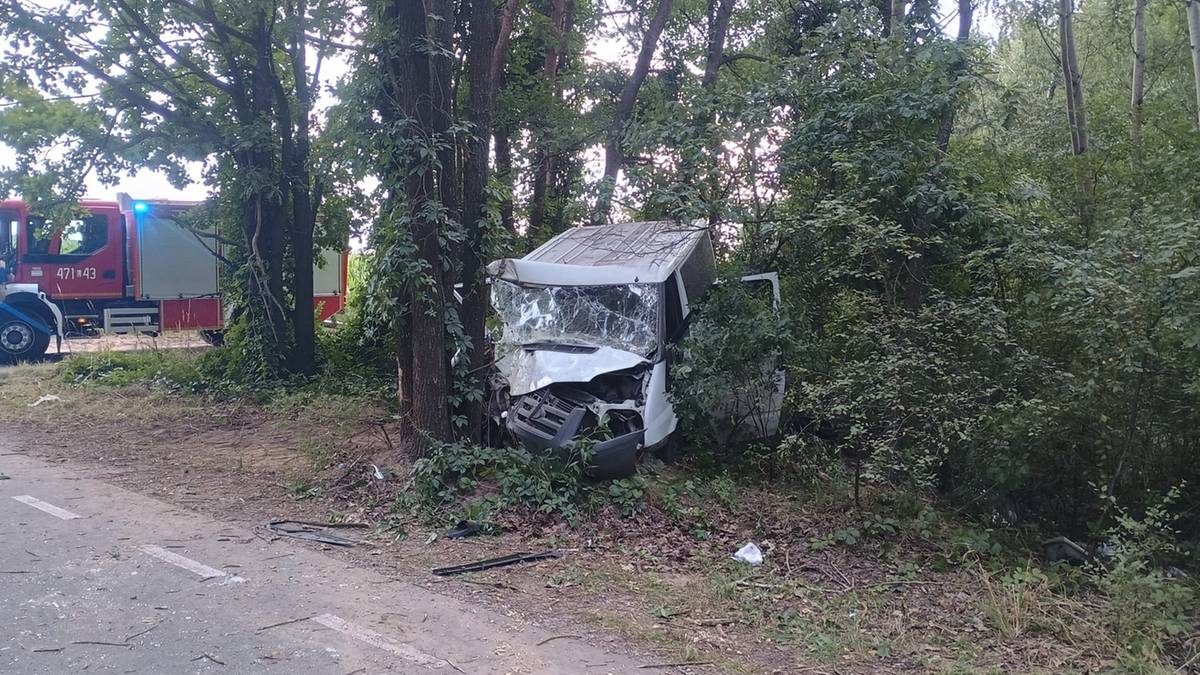 Bus z impetem uderzył w drzewo. Ranni wszyscy pasażerowie