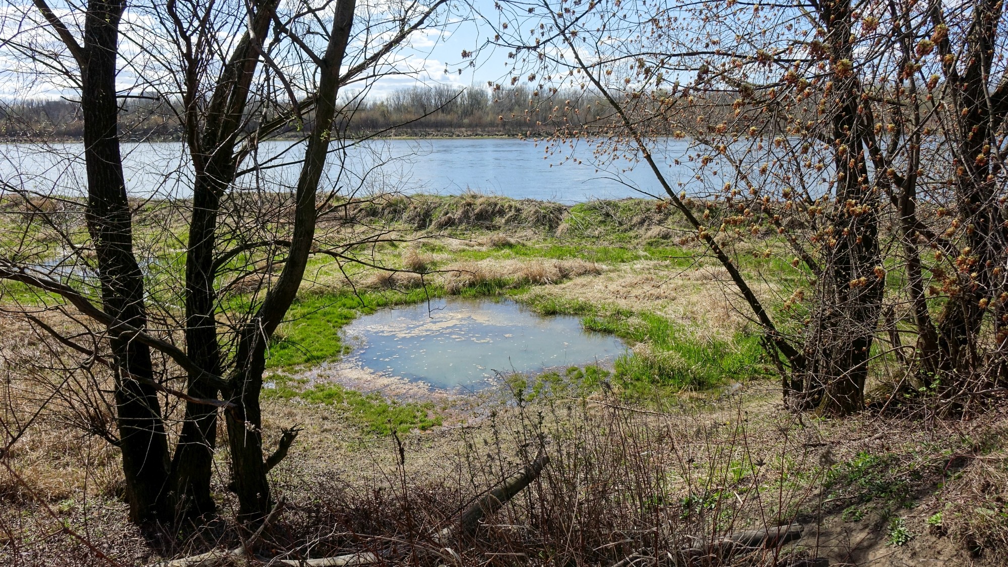 Kwiecień w obiektywie - zdjęcie 51