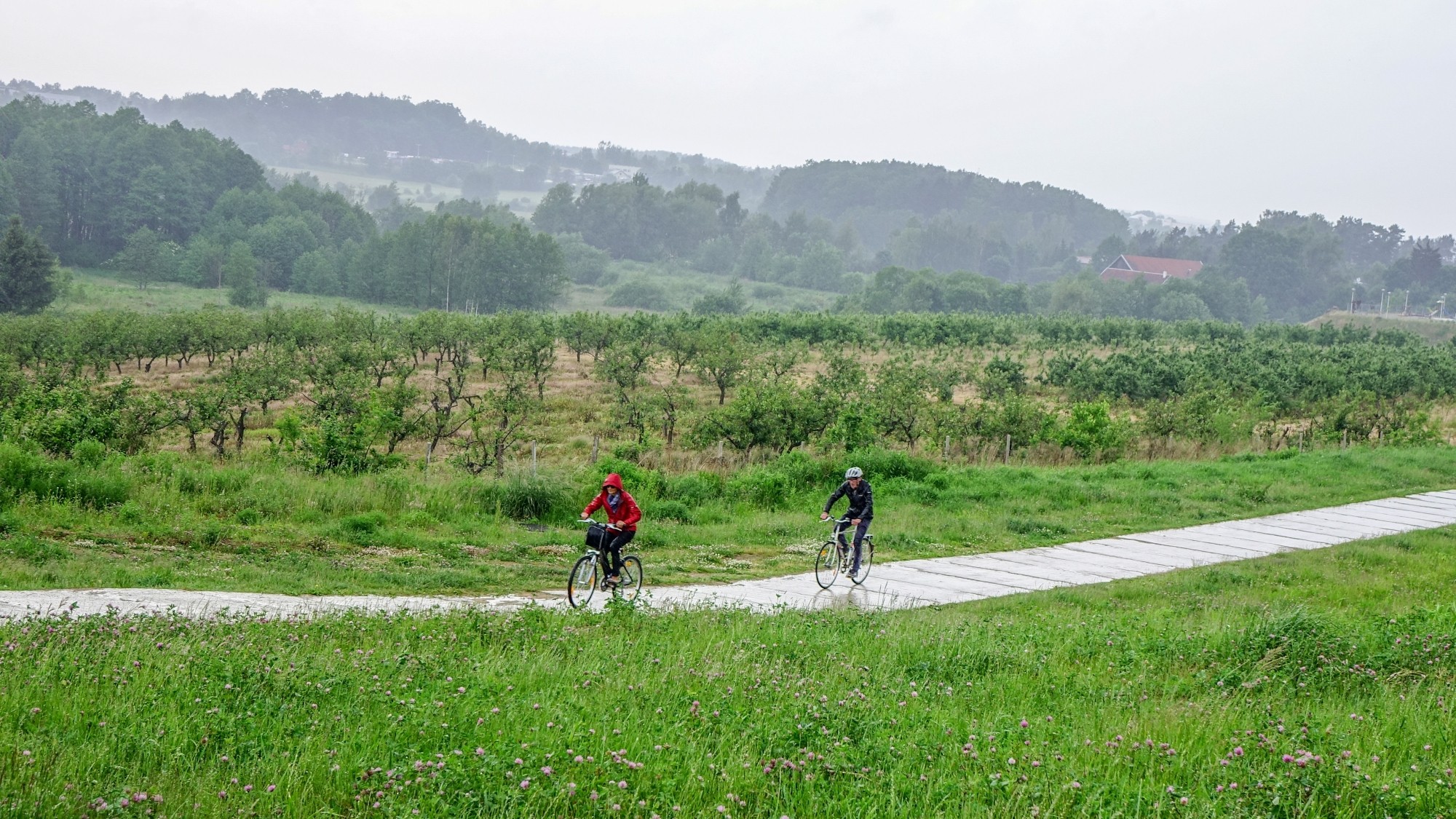 Ludzie na łonie natury - zdjęcie 92