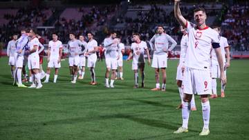 Barażowe puzzle już na swoich miejscach. Czy Polska znalazła się w 1. koszyku?