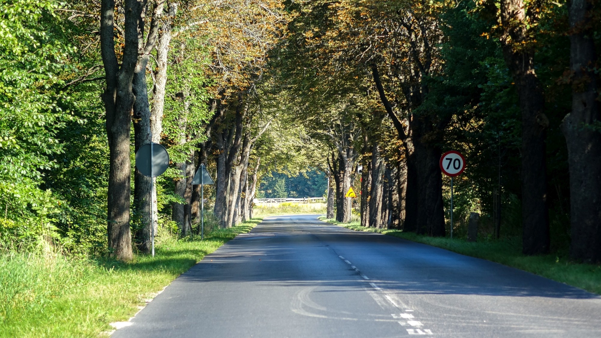 Sierpień w obiektywie - zdjęcie 43