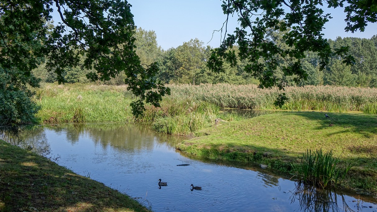Nad morzem, jeziorami i rzekami - zdjęcie 39