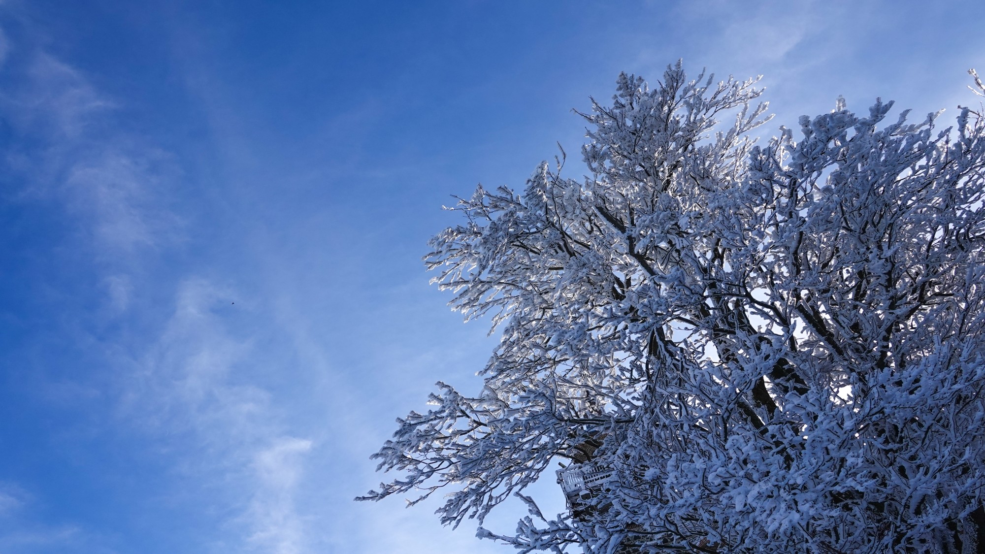 Kraina Narnii - zdjęcie 14