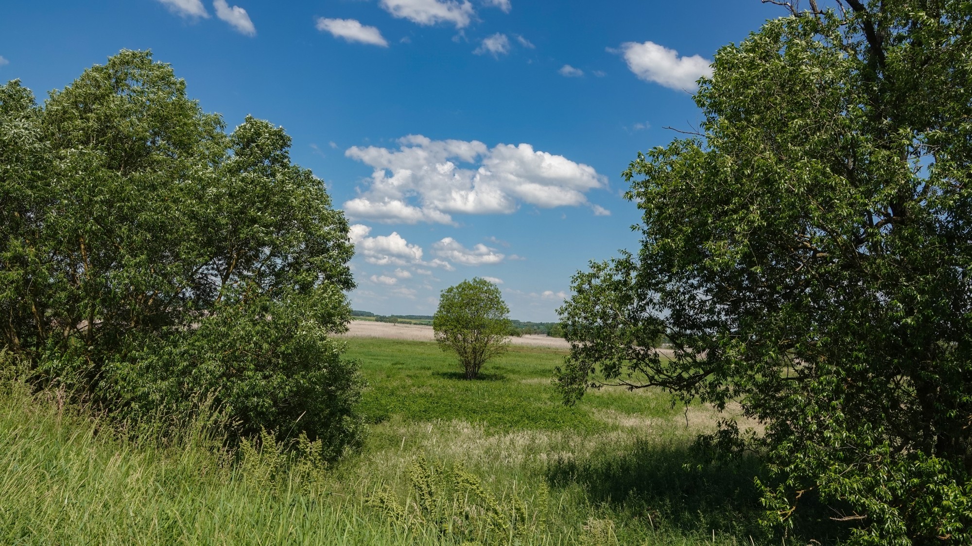 Letnie klimaty na łonie natury - zdjęcie 40